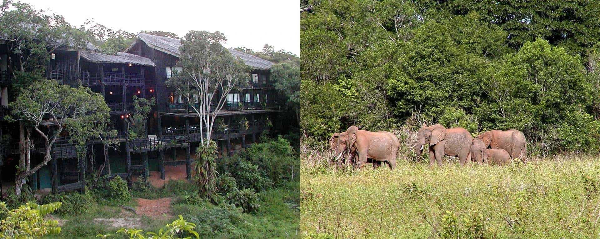 Shimba Hills National Reserve Safari from Diani